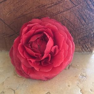 Meet your Posher, Savanna